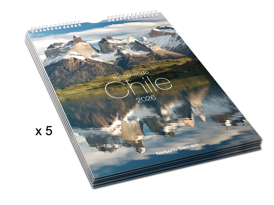 Calendario Mural Recorriendo Chile 2026 - Pack 5 unidades 1