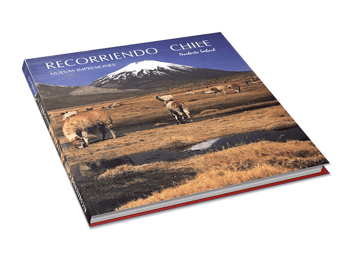 Libro Recorriendo Chile - Nuevas Impresiones 1