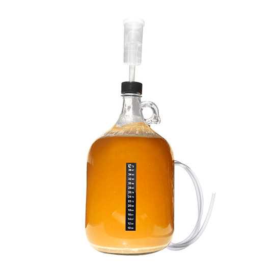 Fermentador + airlock + manguera blow off - Image 1