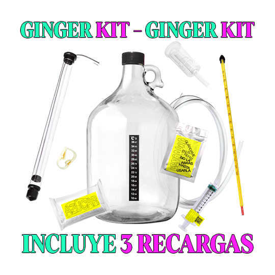 🤩 GINGER KIT 🤩 - Image 1