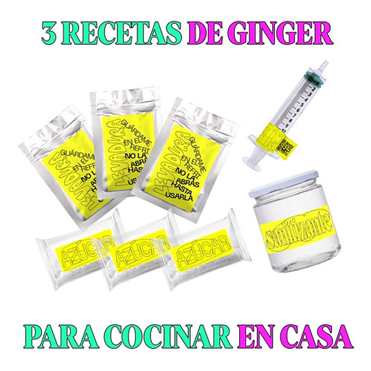 Kit Ginger Beer Recreo + Botellas - Image 2