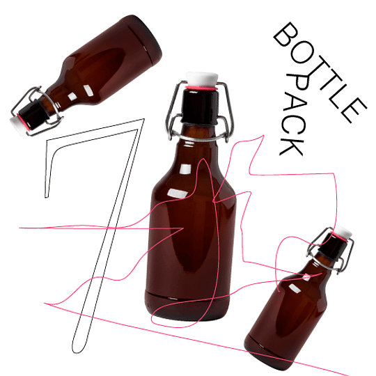 Pack Botellas Flip Top Reutilizables Kit Recreo Homebrewing
