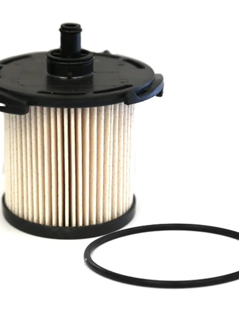 Filtro De Combustible   1