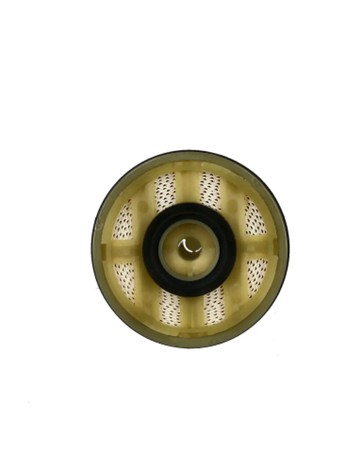 Filtro De Combustible   2