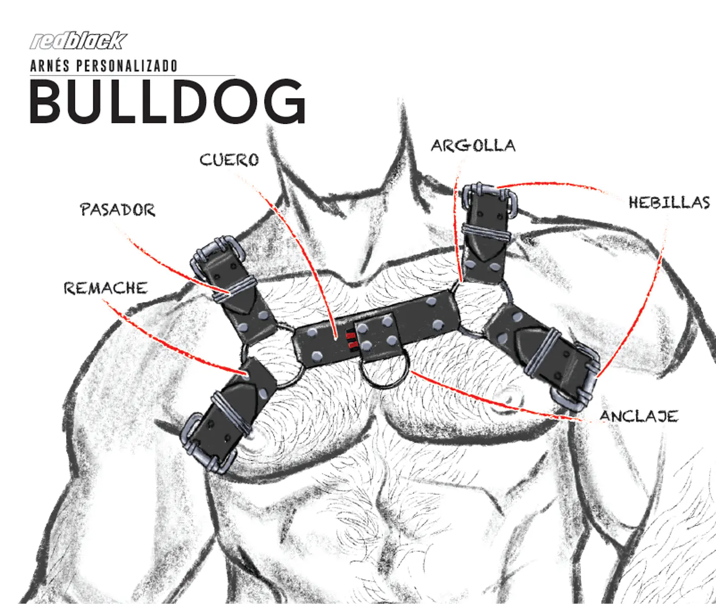 Arnés Bulldog - Cuero 7