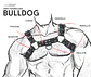 Arnés Bulldog - Cuero - thumbnail 7