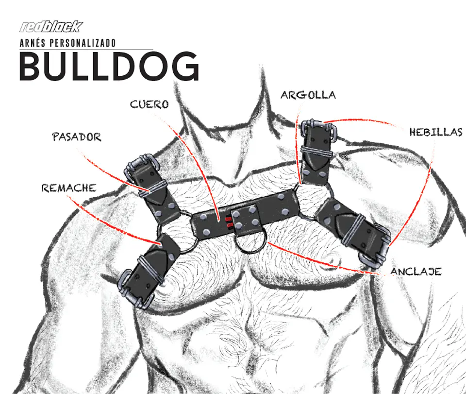 Arnés Bulldog - Cuero 7