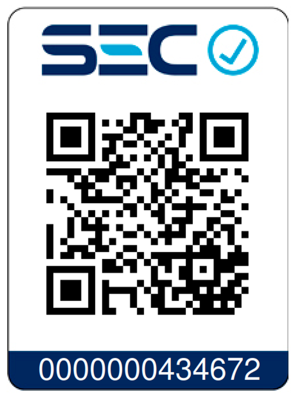 Taladro Eléctrico Redbo ED 550-13I (550W, Mandril 13mm) + Mango Auxiliar 5