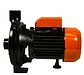 Bomba centrifuga CPM-158 - thumbnail 3