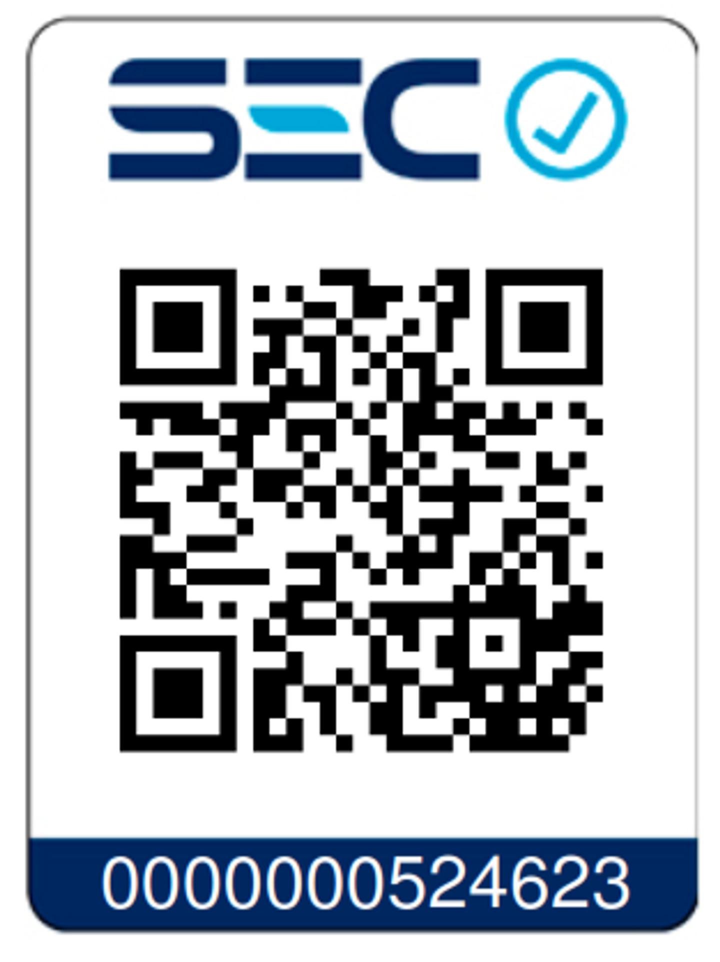 Generador Eléctrico Monofásico Redbo CL-2800 (3.0 kW Máx, Motor OHV 212cc) 4