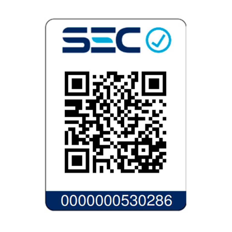 Generador a Gasolina Redbo FS-6000E 