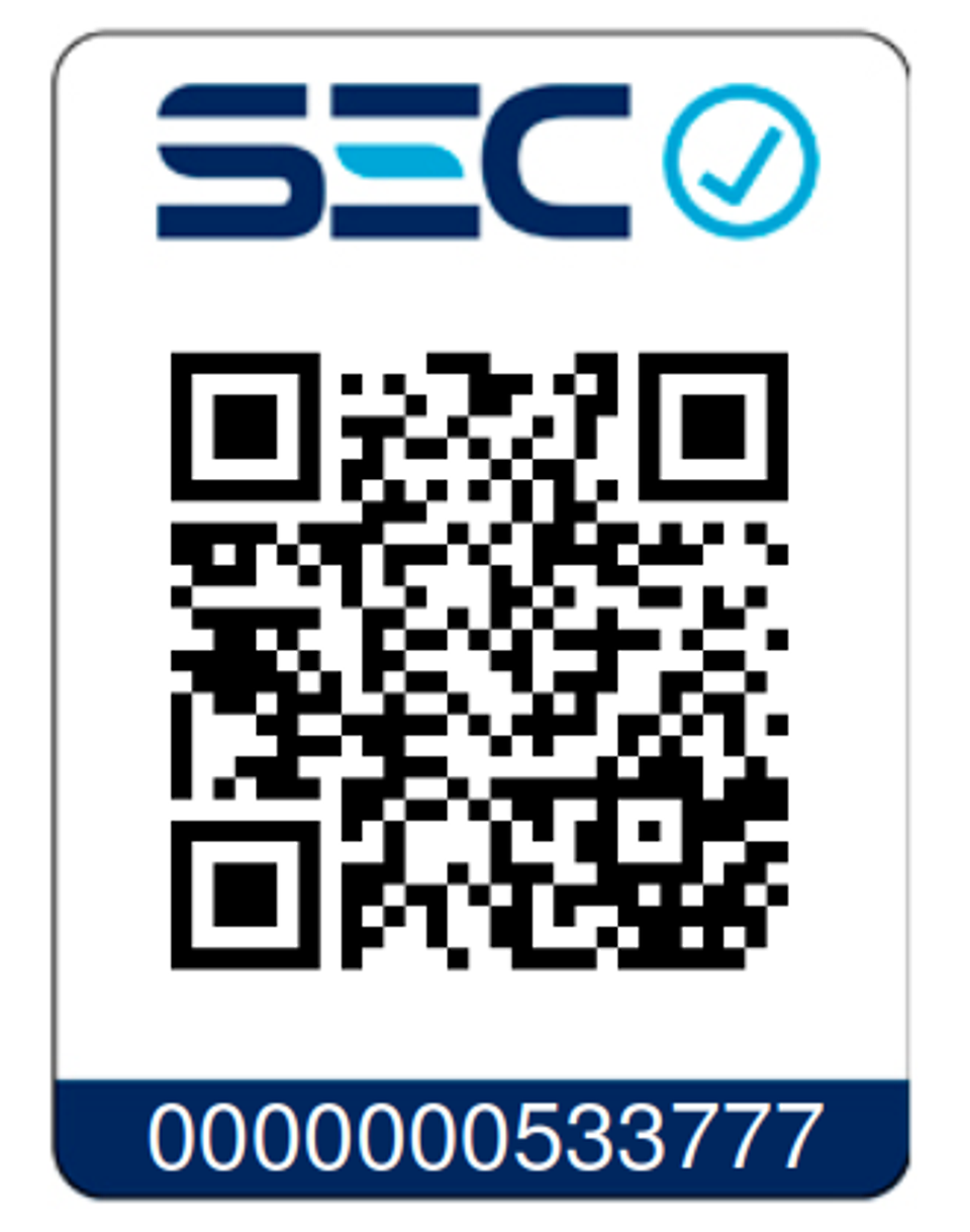 Martillo Demoledor Eléctrico Redbo DB 1000-45 (1100W, 45 Joules) + Maleta Metálica 6