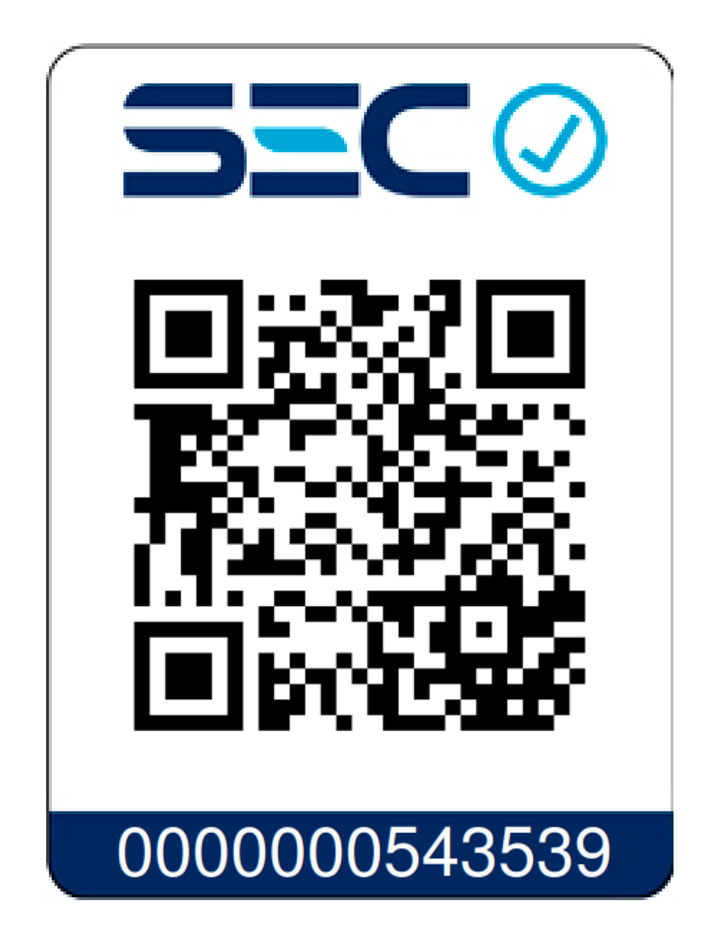 Taladro atornillador Inalámbrico BRUSHLESS 20V 10 mm 4