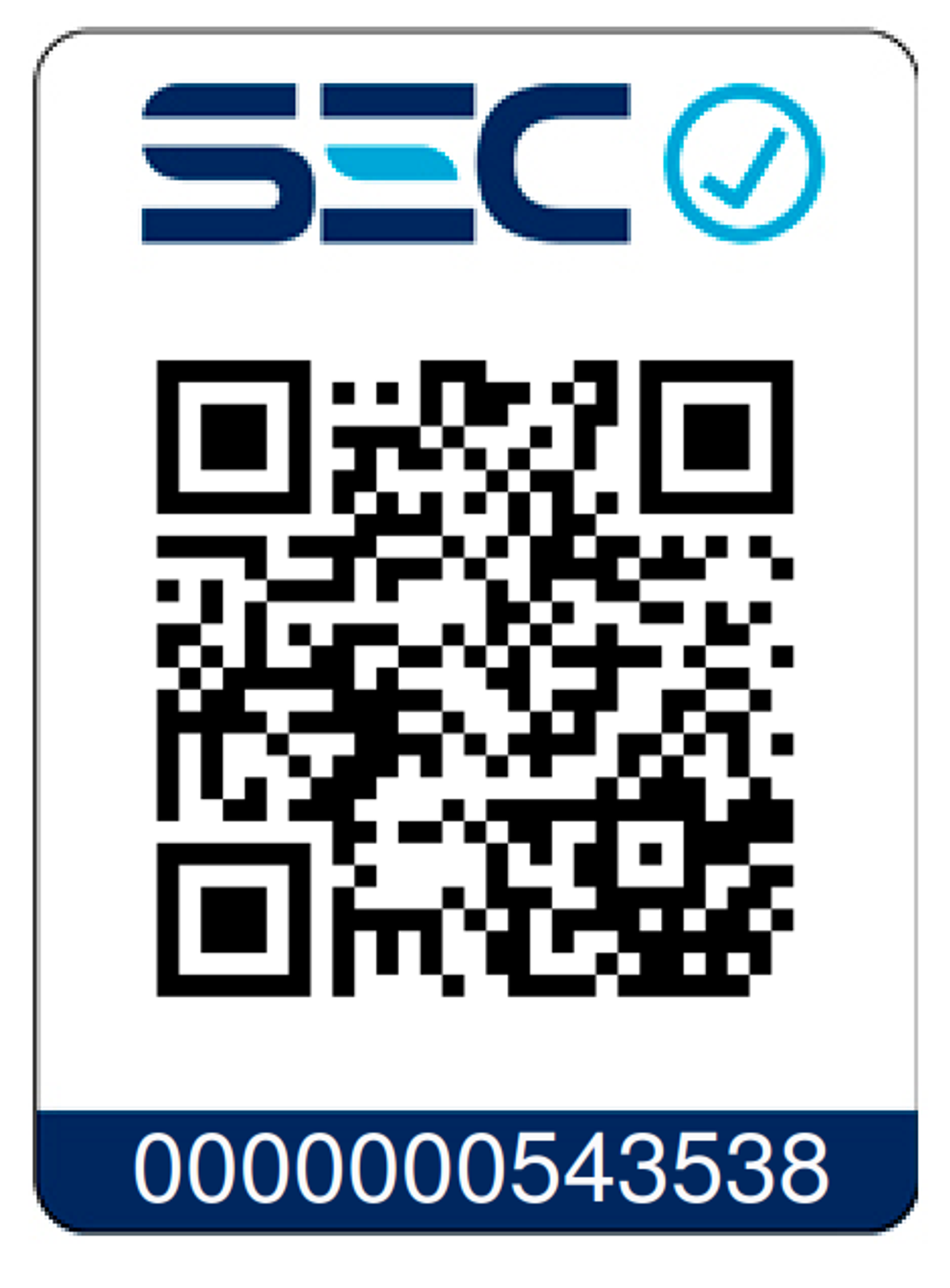 Taladro Percutor Inalámbrico BRUSHLESS 20V 10 mm 4