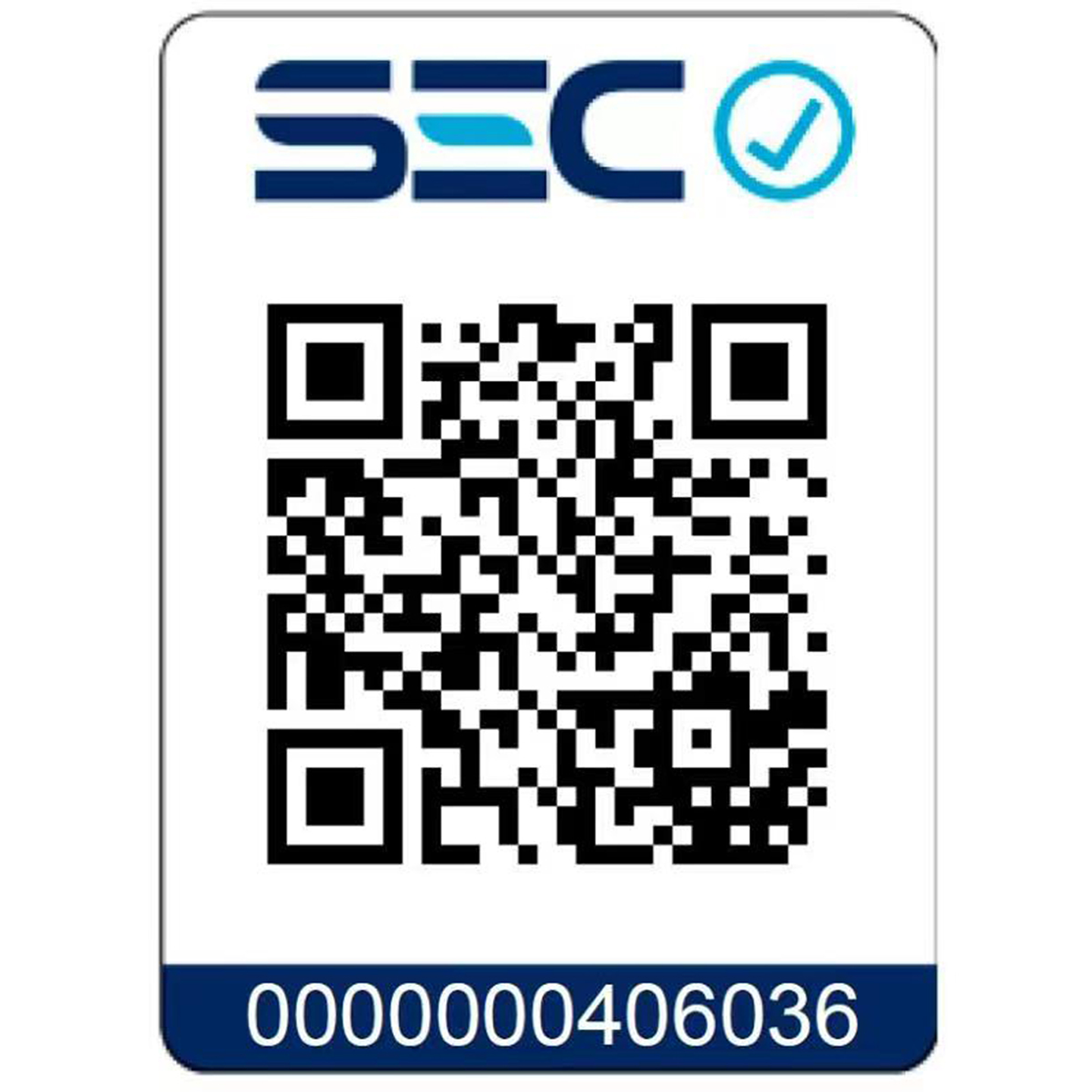 Rotomartillo Eléctrico Redbo RH 1000-26 (1000W, Motor Vertical) + Maleta y Accesorios 4