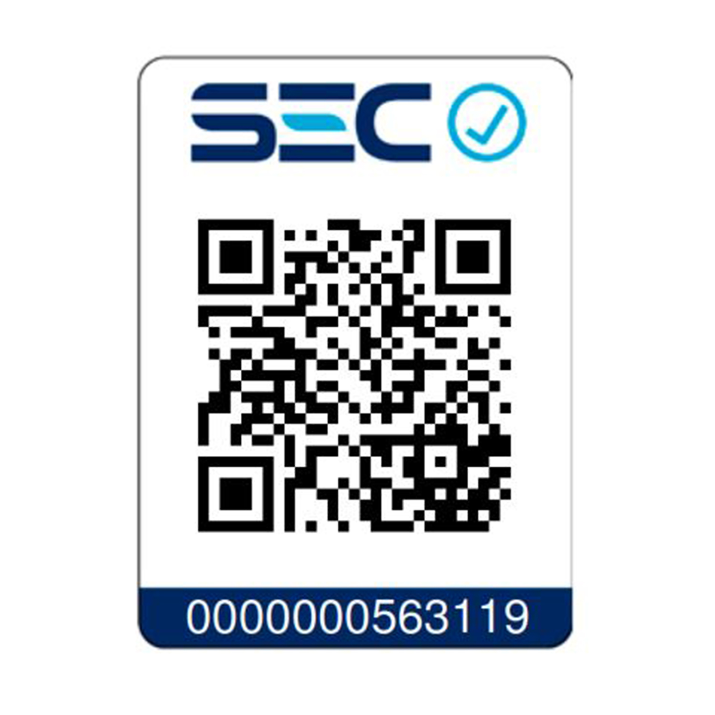 Motobomba de Agua Bencinera Redbo WP-20 (2