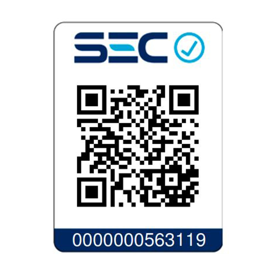 Motobomba de Agua Bencinera Redbo WP-20 (2