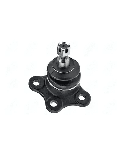 Rotula do triangulo superior