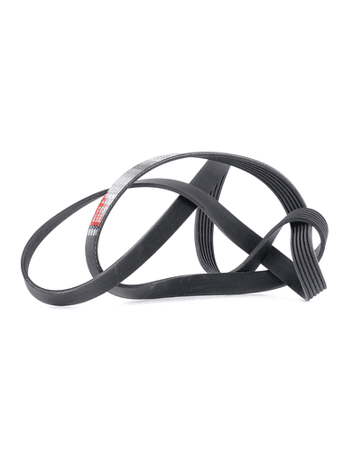 Correia de acessorios