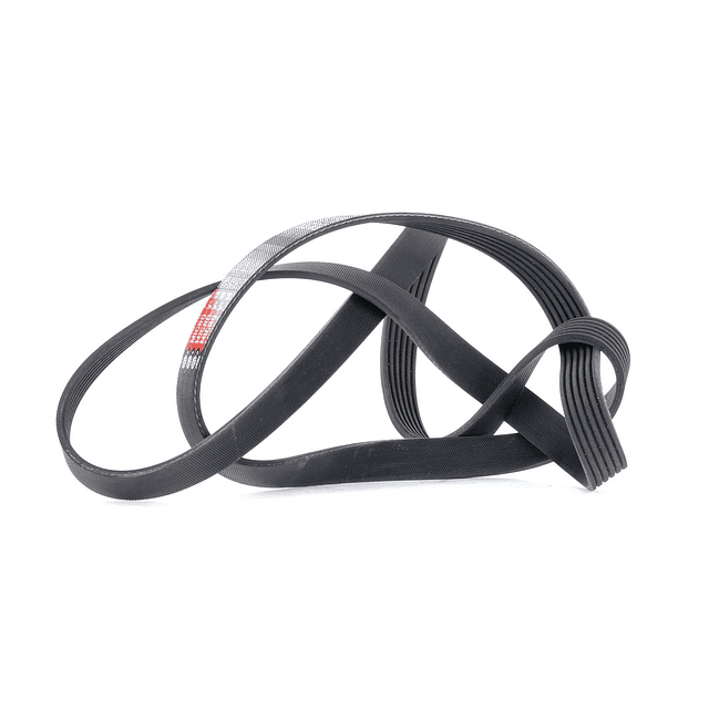 Correia de acessorios