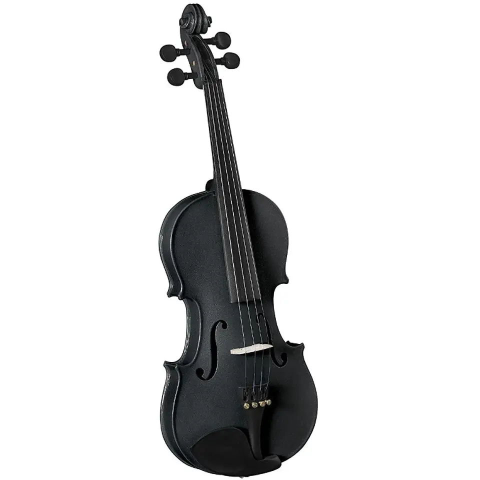 Violín Cervini HV-100 4/4 BK 2