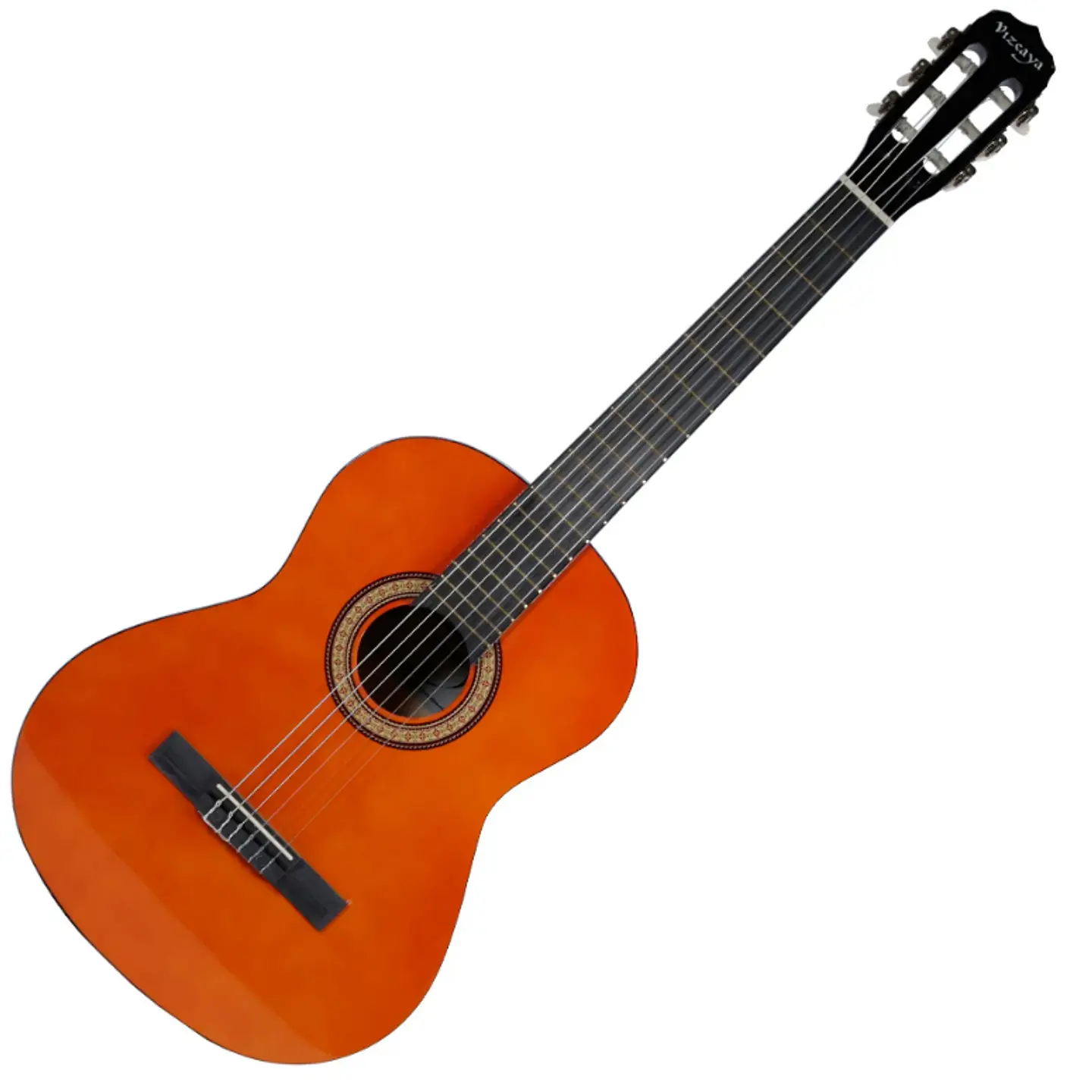 Guitarra acustica VISCAYA ARCG 44 NT 1