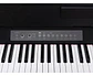Medeli CP-203NB Piano Digital Compacto 88 Teclas con Acción de Martillo - Miniatura 2