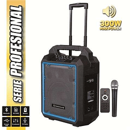 Coolsound Pro 300 Altavoz Autoamplificado Bluetooth 300W 10" 80W RMS con Bateria - USB, SD, Entrada Mic. Jack 6.3mm - 1 Microfono Serie Pro Cool - Aut