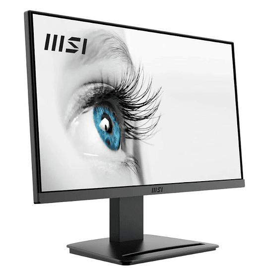 MSI MP223 Monitor 22.3