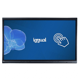 iggual Pantalla interactiva 4K ORCHID 65"