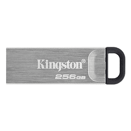 Kingston DataTraveler DTKN 512GB USB 3.2 Gen1 Plat