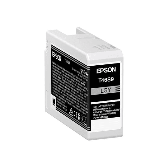 Epson T46S9 Gris Light Cartucho de Tinta Original - C13T46S900