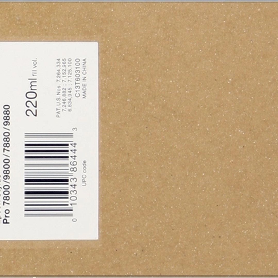 Epson T6031 Negro Photo Cartucho de Tinta Original - C13T603100 1