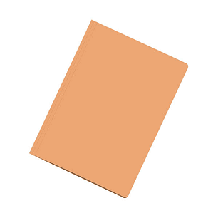 Dohe Subcarpetas Fabricadas en Cartulina de 180gr A4 - con Ranura para Fastener - Ideal para Organizar Documentos