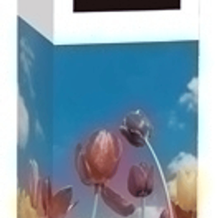 Fabrisa Expositor de 20 Rollos de Papel Regalo - Papel Kraft Verjurado de 70gr - Medidas del Rollo 1x5m - Colores Surtidos 1