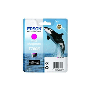 Epson T7603 Magenta Cartucho de Tinta Original - C13T76034010