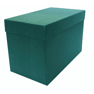 Elba Caja de Transferencia Tamaño Folio - Lomo de 20cm - Tapa Protectora y Solapa Abatible - Fabricada en Carton Reciclado Forrado con Geltex - Medida