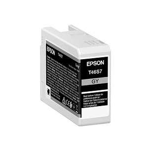 Epson T46S7 Gris Cartucho de Tinta Original - C13T46S700
