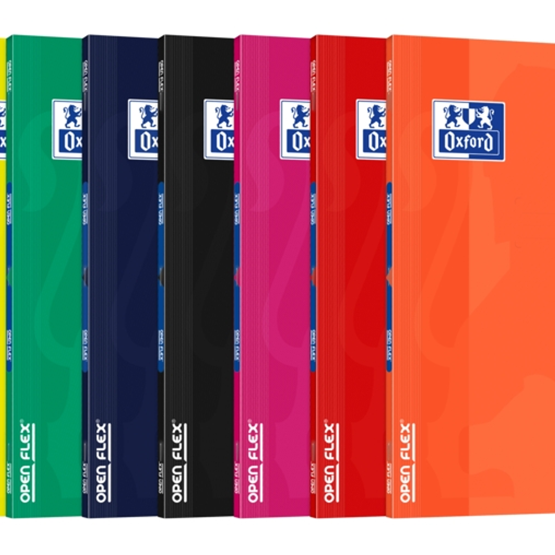 Oxford Openflex Libreta Grapada Tapa Plastico A4 Seyes - Resistente Tapa de Plastico - Formato A4 - Cuadricula Seyes con Margen - Grapado Seguro 1