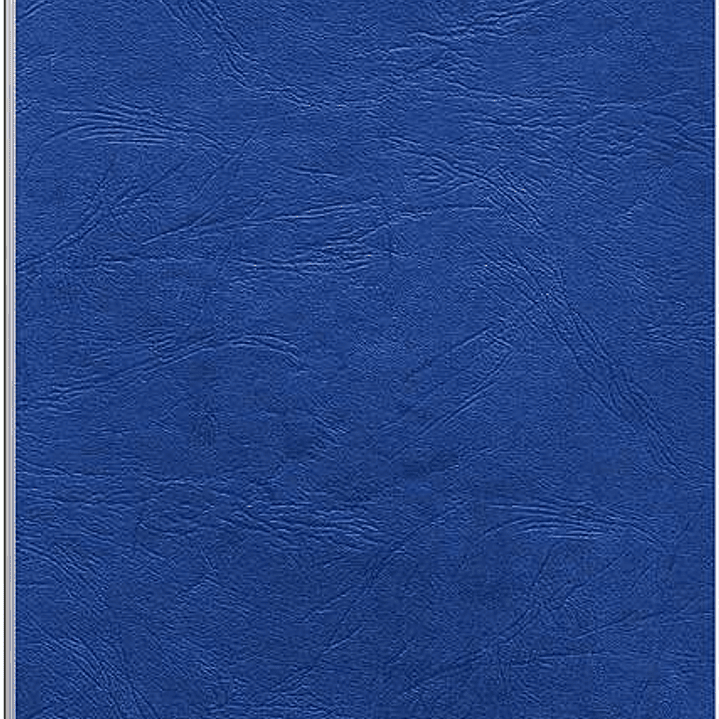Fellowes Pack de 100 Portadas de Carton Simil Piel Delta Cuero A4 - 250 gr - Color Azul 1