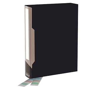 Bankers Box Carpeta Porta-Fundas Polipropileno Flexible - 100 Fundas - Etiquetas Personalizables - Dimensiones Externas 6.50x31.50x23.50cm - Dimension