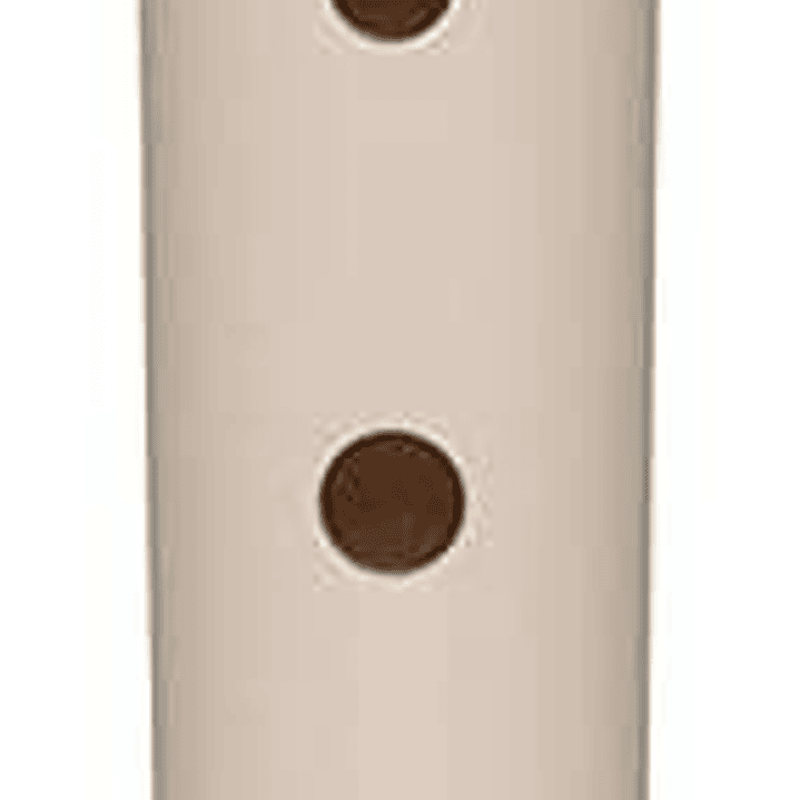 Yamaha YRS-23 Flauta Dulce - Fabricada en Plastico - Ideal para los mas Pequeños - Incluye Funda - Color Marfil 1