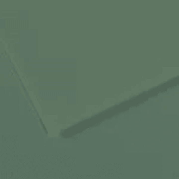 Canson Mi-Teintes Pack de 10 Hojas 160 g/m² - Tamaño 50 x 65cm - Doble Cara Grano Nido de Abeja y Grano Fino - Certificado FSC - Color Verde Salvia 1