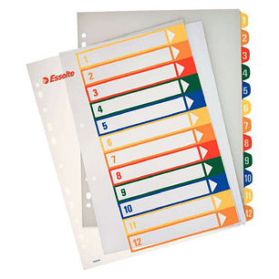 Esselte Indice para Proyectos Imprimible A4 Maxi Tipo 1-12 Multicolor - Multitaladro - Material PP Rigido 300 Micras, Portada 350 Micras