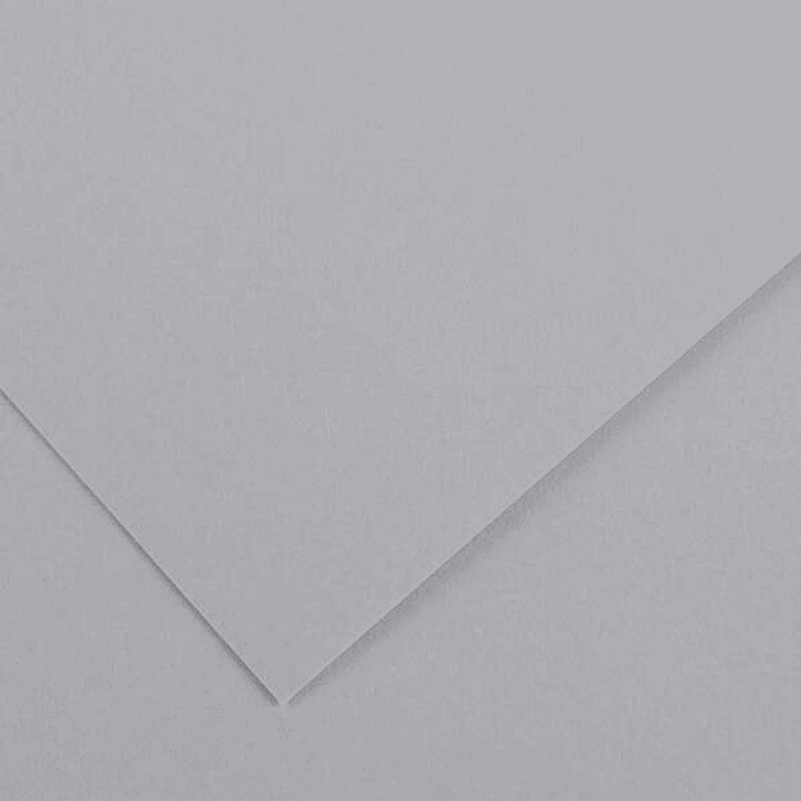 Canson Guarro Pack de 25 Cartulinas Iris de 185g - 50x65cm - Color Gris Perla 1