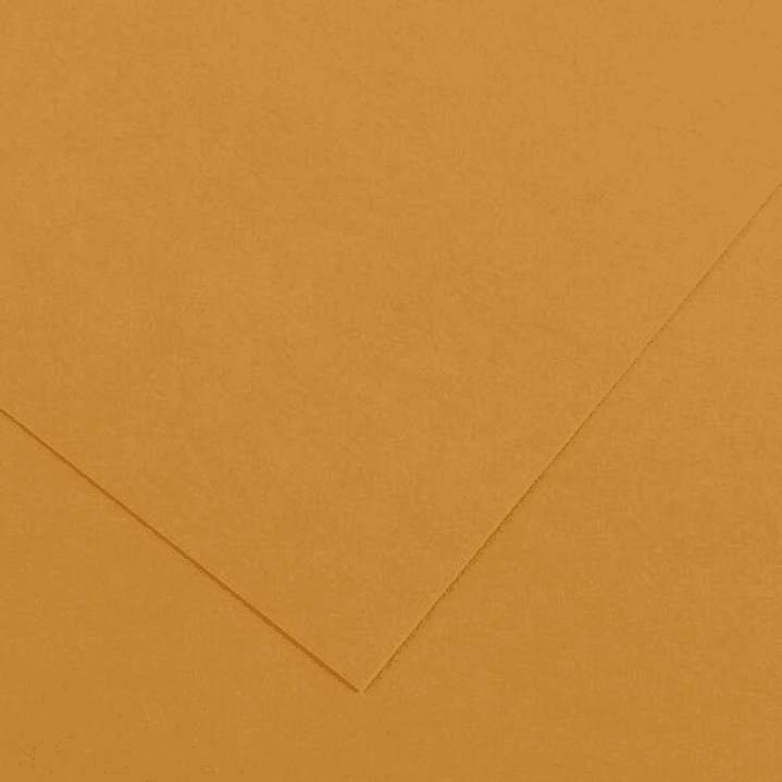 Canson Guarro Pack de 25 Cartulinas Iris de 185g - 50x65cm - Color Cuero 1