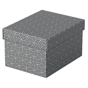 Esselte Pack de 3 Cajas Pequeñas de Almacenamiento con Tapa 200x150x255mm - Carton 100% Reciclado y Reciclable - Diseño Gris con Dibujo