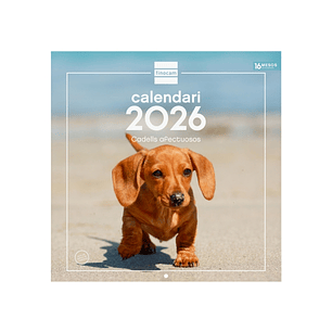 Finocam Calendario de Pared en Catalan - Anual 2026 - Imagenes Variadas - 300x300mm - Espacio para Escribir - Tematica de Cachorros