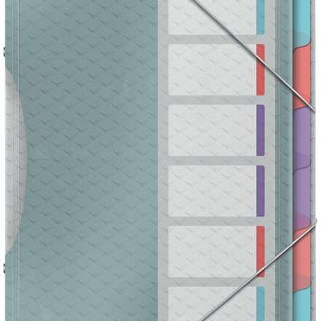 Esselte Colour'Breeze Clasificador con 6 Pestañas Multicolor - Para Formato A4 - 3 Solapas en la Contraportada - Polpropileno en Relieve - Cierre con  1