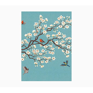 Pictura Cuaderno A5 - 15x21cm - 48 Paginas con Lineas - Papel con Certificacion FSC